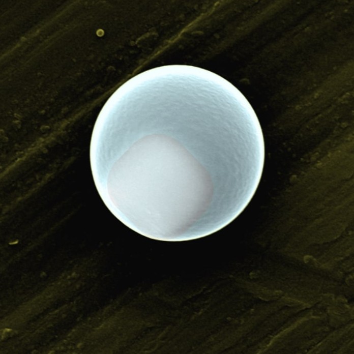 Composite particle of TPM sphere and Hematite Cube under SEM, colored post-processing